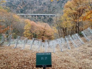 完了全景