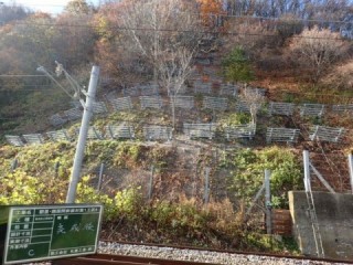 完了全景（雪崩止柵）